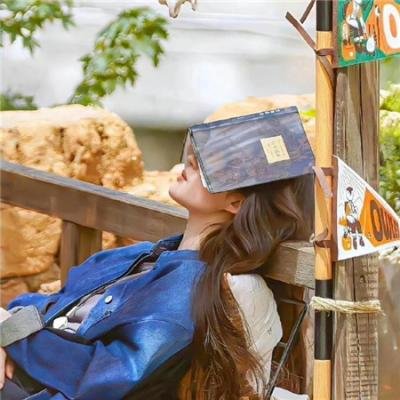 OSS 117之非洲谍影